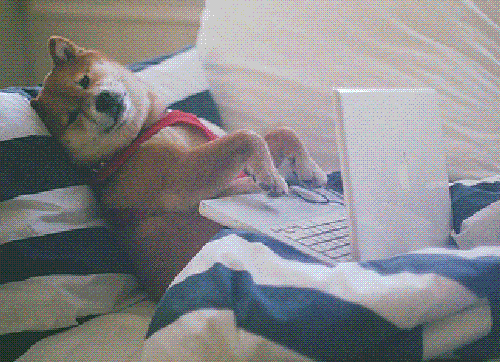 An average user interacting with your site. (Via Giphy)
