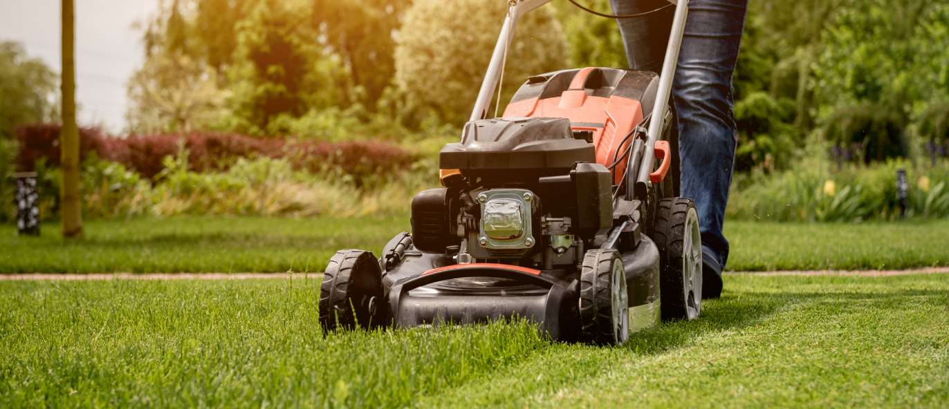 Lawn Care Company