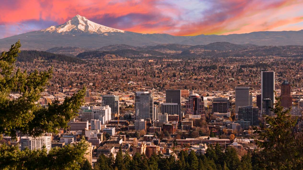 Direct Online Marketing - Internet marketing services provider serving businesses in Portland, Oregon