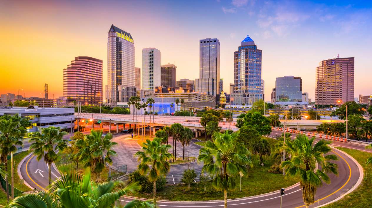 Direct Online Marketing - Internet marketing services provider serving businesses in Tampa, Florida
